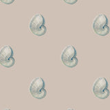 Argonaut Shell Wallpaper