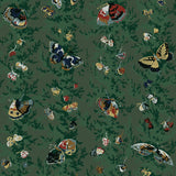 Papillons Wallpaper