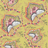 Rose Naissance Wallpaper