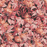 Lilas Bleu Wallpaper