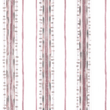 Canavese Stripe