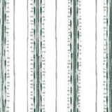 Canavese Stripe
