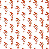 Coral Dash Wallpaper
