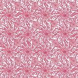 Coral Haze Wallpaper