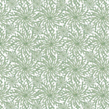 Coral Haze Wallpaper