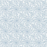 Coral Haze Wallpaper
