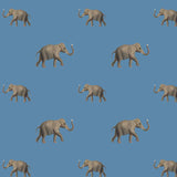 Eli Wallpaper