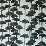 Umbrella Pine Wallpaper