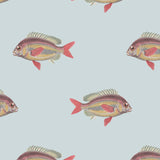 Going Swimmingly Fish Wallpaper