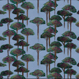 Umbrella Pine Wallpaper