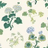 Anne Geranium Wallpaper