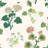 Anne Geranium Wallpaper