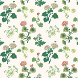 Anne Geranium Wallpaper