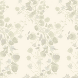 Growing Nasturtiums Wallpaper