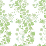 Growing Nasturtiums Wallpaper