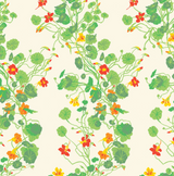 Growing Nasturtiums Wallpaper