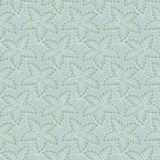 Star Flower Wallpaper