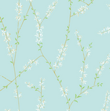 Forsythia Wallpaper