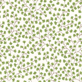 Ginkgo Wallpaper