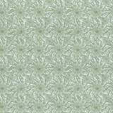Coral Haze