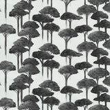 Umbrella Pine Wallpaper
