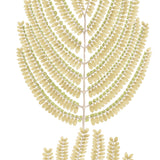 Artis Acacia