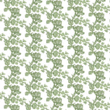 Fruiting Fig on Oyster