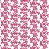 Fruiting Fig on Oyster