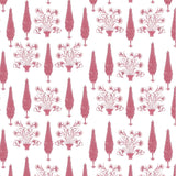 Paradise Garden Oyster