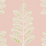 Chiswick Fern