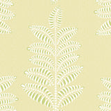 Chiswick Fern