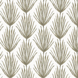 Palm Parade Wallcovering