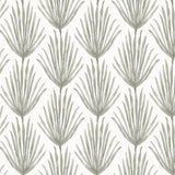 Palm Parade Wallcovering