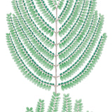 Artis Acacia Wallcovering