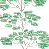 Savanna Wallcovering