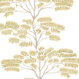 Savanna Wallcovering