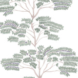 Savanna Wallcovering