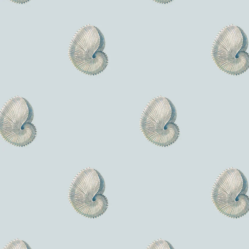 Argonaut Shell Wallpaper