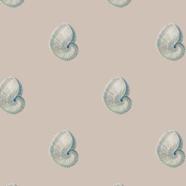 Argonaut Shell Wallpaper