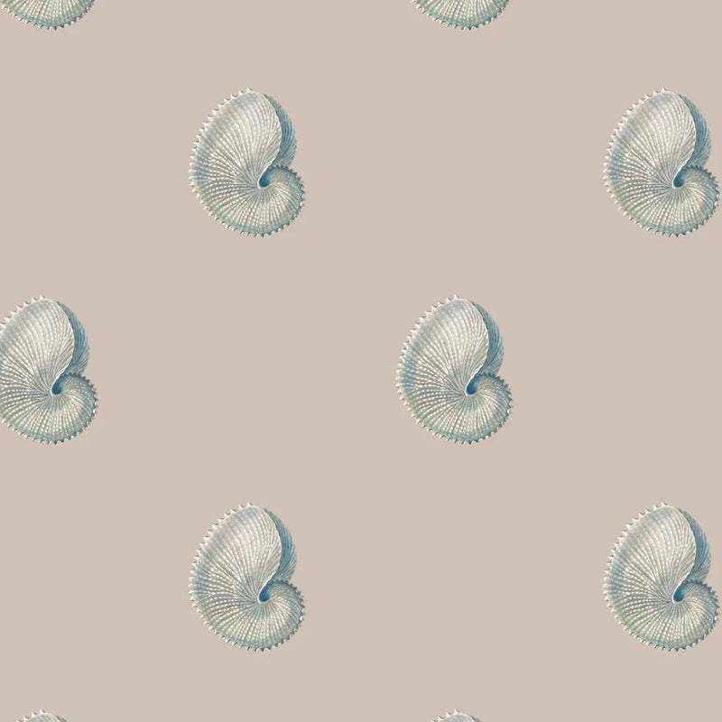 Argonaut Shell Wallpaper