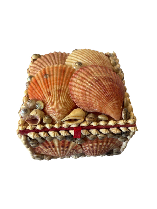 Small seashell box