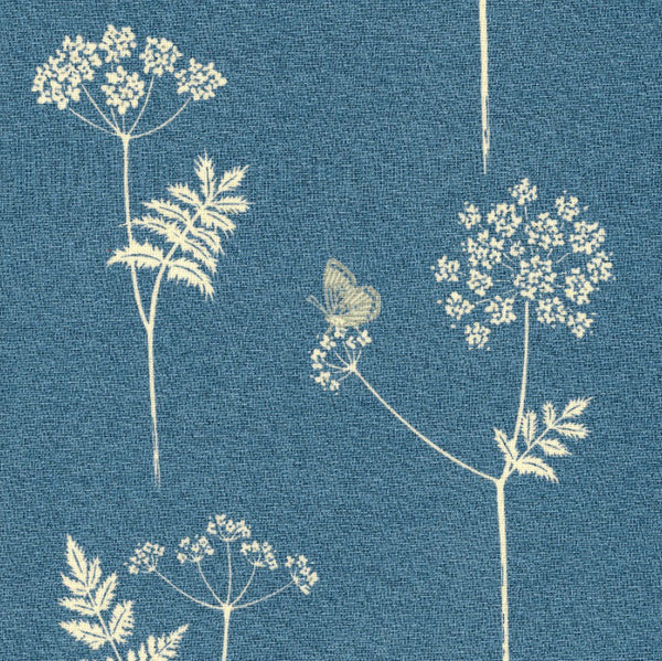 Cow Parsley