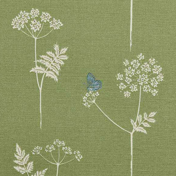 Cow Parsley