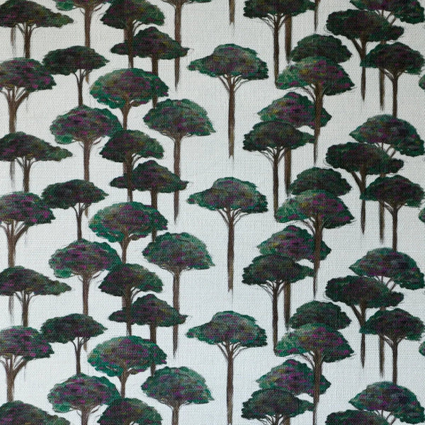 Umbrella Pine Wallpaper