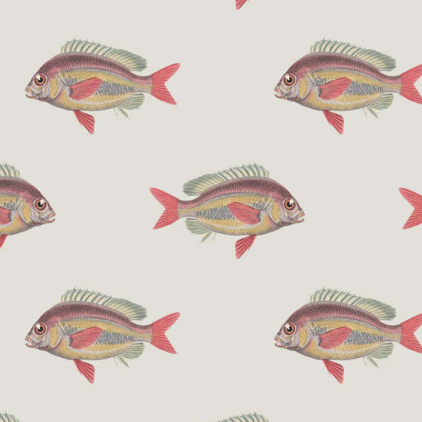 Going Swimmingly Fish Wallpaper