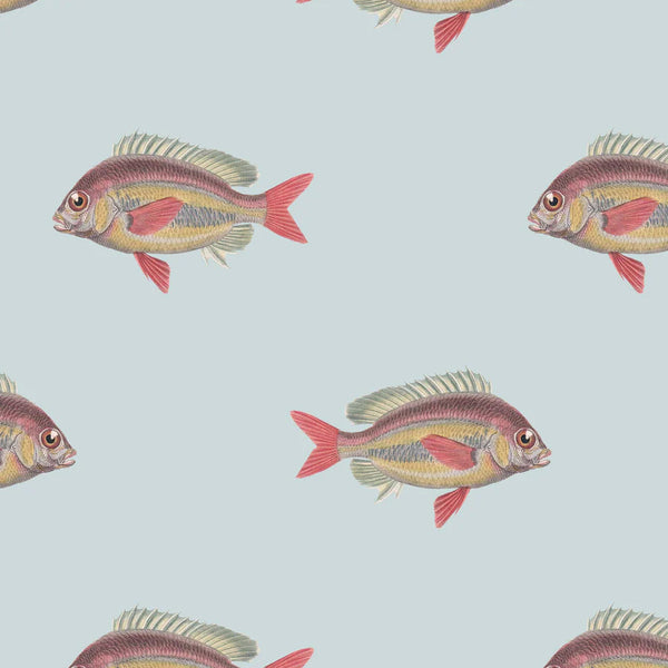 Going Swimmingly Fish Wallpaper