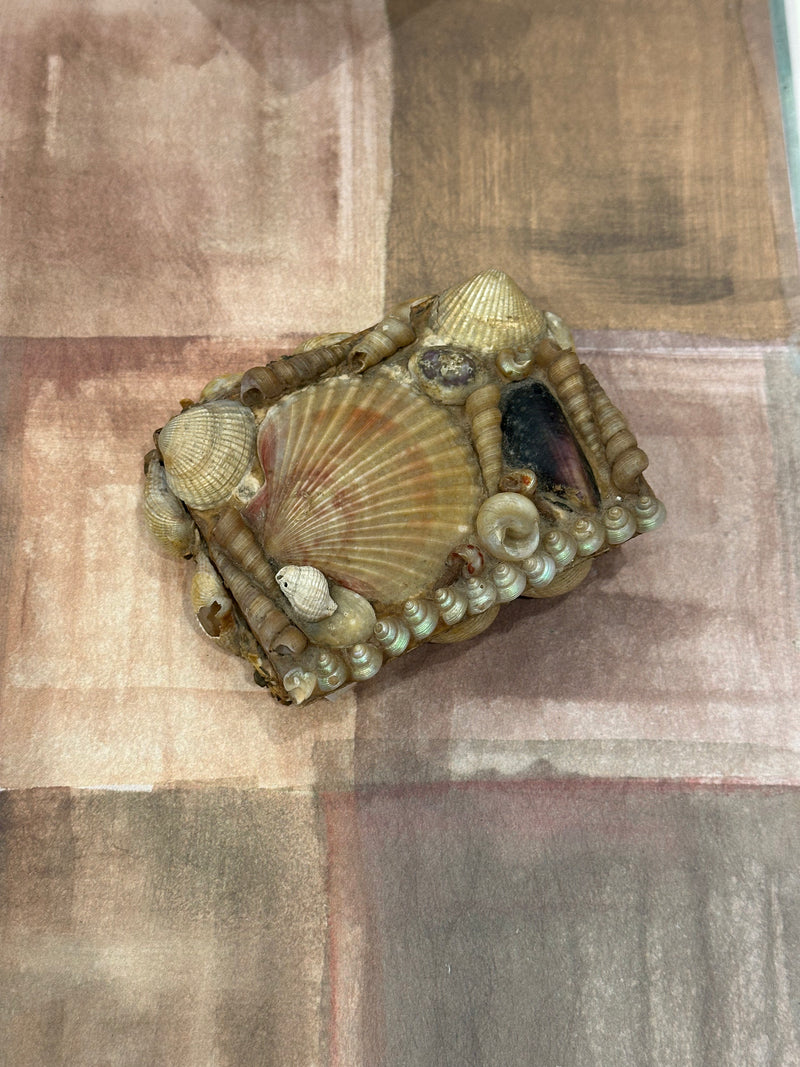 Petite Sailor's Valentine Shell Box
