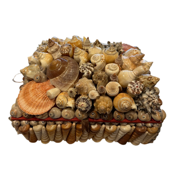 Large Shell Jewelry Box