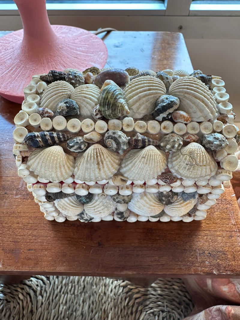Domed Shell Box