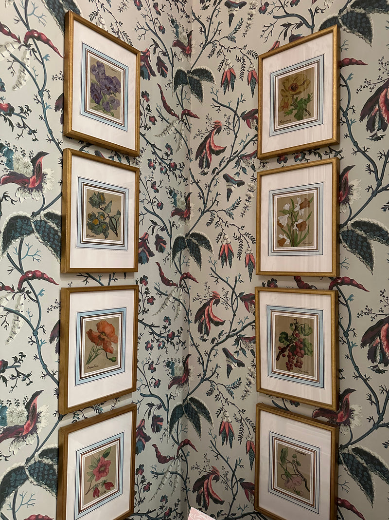 Paris Flea French Matte Framed Botanicals